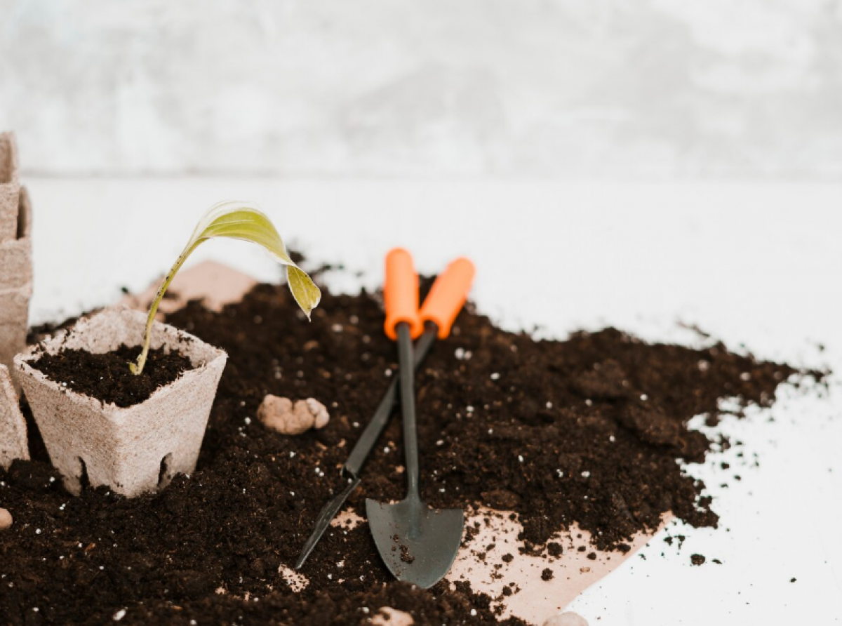 Фото: https://ru.freepik.com/free-photo/